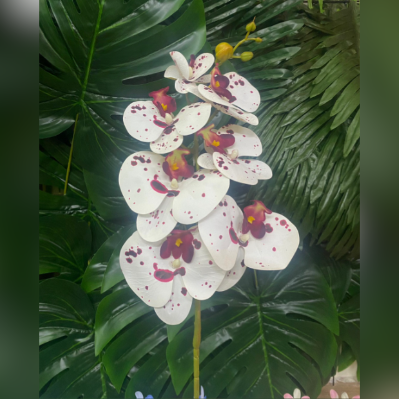 Orquídea 35cm