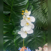 Orquídea 35cm