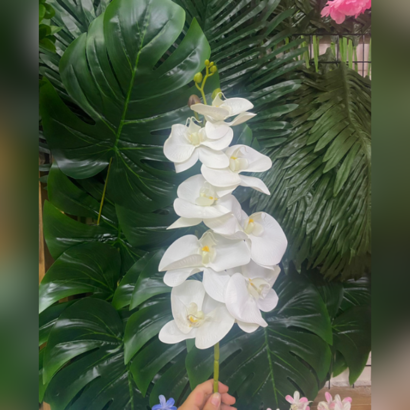 Orquídea 35cm