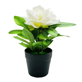 Peônia Elegante – Decoração para Casamento, Mesa e Casa