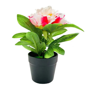 Peônia Elegante – Decoração para Casamento, Mesa e Casa